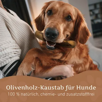 Wildfang Olivenholz Kaustab Wildfang Olivenholz Kaustab