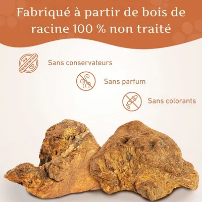 Wildfang® Mâcher des racines de bruyère arborescente