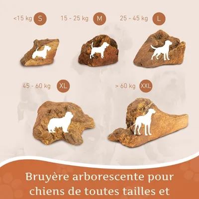 Wildfang® Mâcher des racines de bruyère arborescente