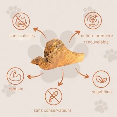 Wildfang® Mâcher des racines de bruyère arborescente