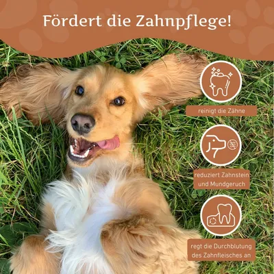 Wildfang® Bois de caféier pour chiens Wildfang® Bois de caféier pour chiens