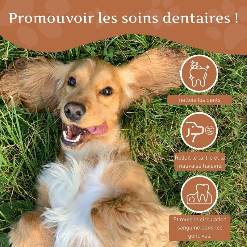 Wildfang® Bois de caféier pour chiens