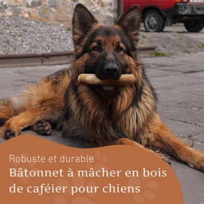 Wildfang® Bois de caféier pour chiens