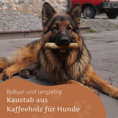 Wildfang® Bois de caféier pour chiens Wildfang® Bois de caféier pour chiens