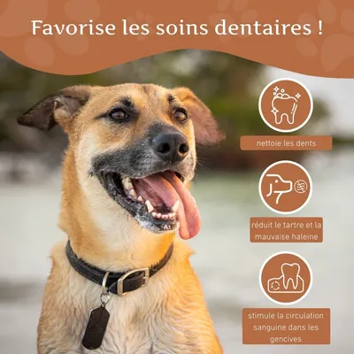 Wildfang® Bois de caféier pour chiens