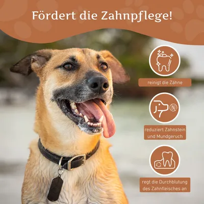 Wildfang Kaffeeholz Kaustab
