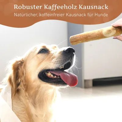 Wildfang Kaffeeholz Kaustab