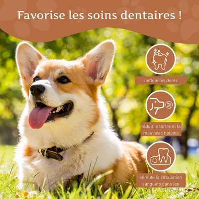 Wildfang® Bois de caféier pour chiens