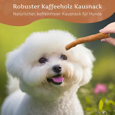 Wildfang Kaffeeholz Kaustab