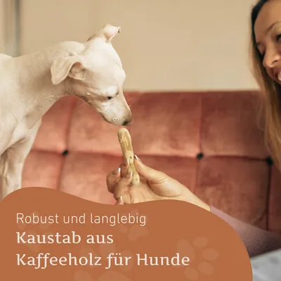 Wildfang Kaffeeholz Kaustab