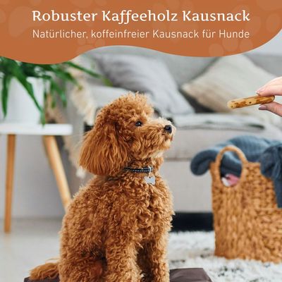 Wildfang Kaffeeholz Kaustab