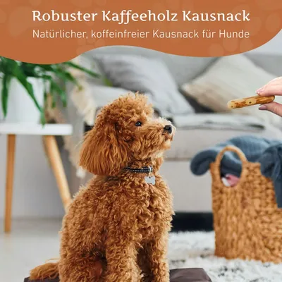 Wildfang Kaffeeholz Kaustab