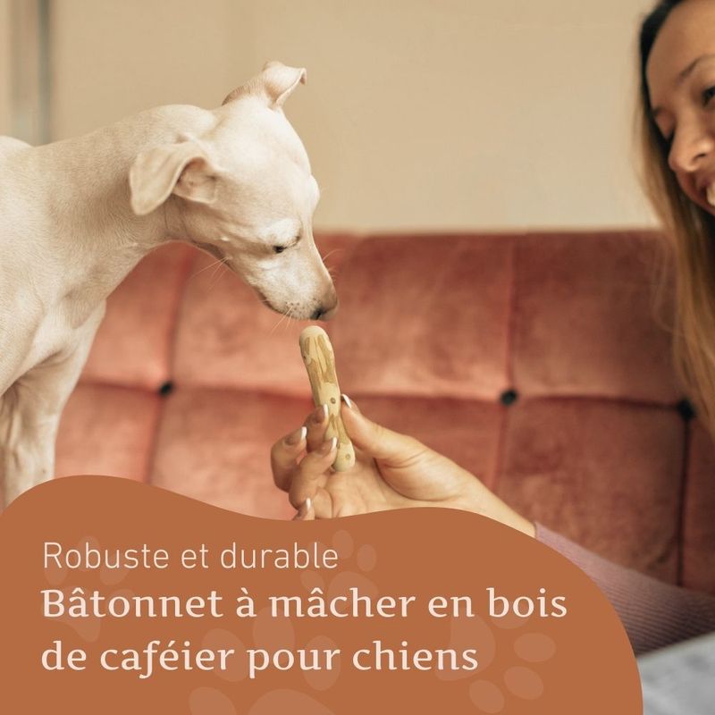 Wildfang® Bois de caféier pour chiens