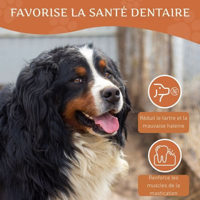 Wildfang®  Mâcher des racines de bruyère arborescente