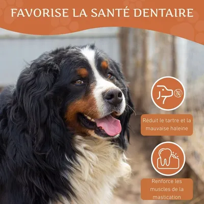 Wildfang®  Mâcher des racines de bruyère arborescente