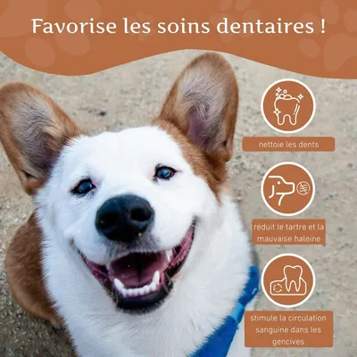 Wildfang® Bois de caféier pour chiens