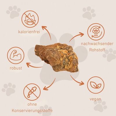 Wildfang Kauwurzel aus Baumheide