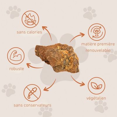 Wildfang® Mâcher des racines de bruyère arborescente