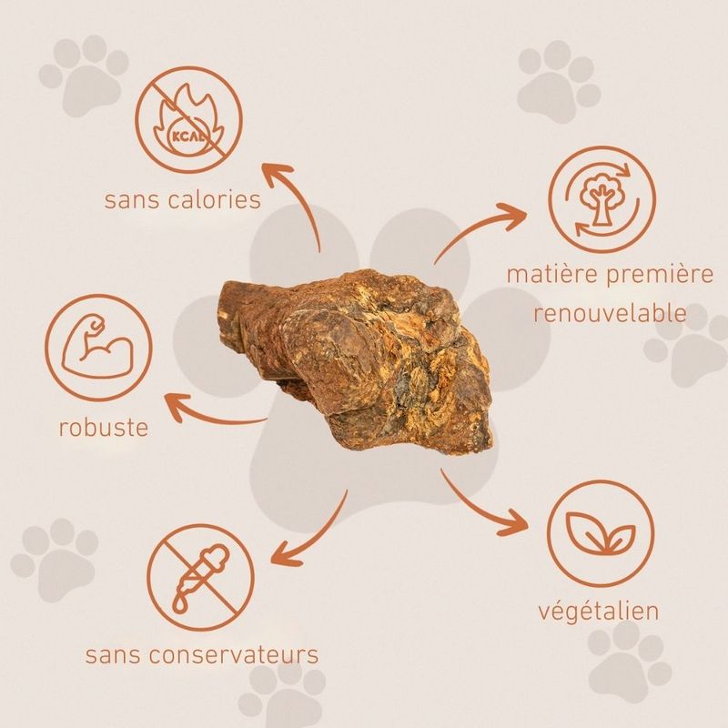 Wildfang® Mâcher des racines de bruyère arborescente