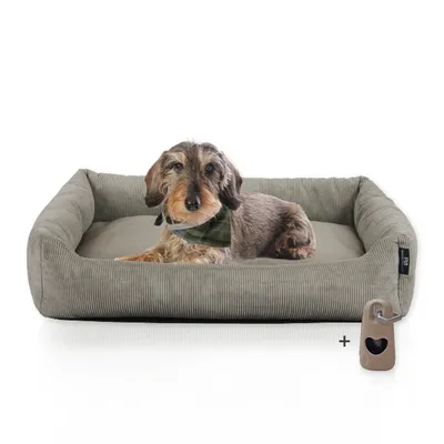 Rohrschneider Lit animal en velours côtelé