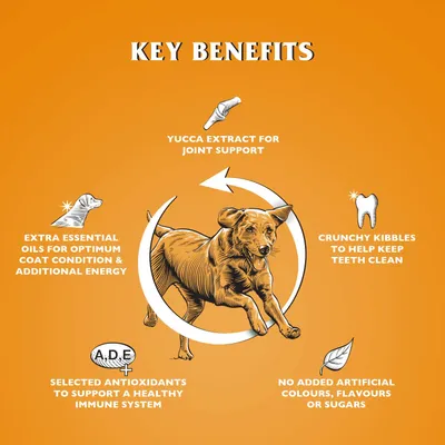 Dr John GOLD Poulet avec Légumes