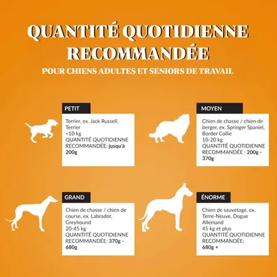 Dr John GOLD Poulet avec Légumes