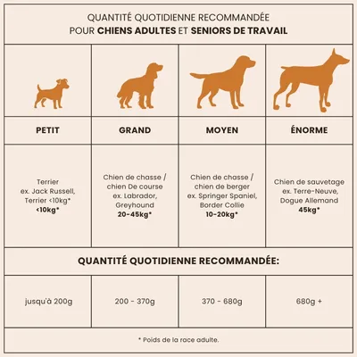 Croquettes chien adulte grande race – Dr John Gold Poulet