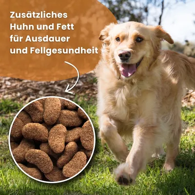 Dr John Gold mit Huhn für große Hunderassen – 15 kg Dr John Gold mit Huhn für große Hunderassen – 15 kg