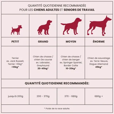 Croquettes chien adulte – Dr John Silver Bœuf