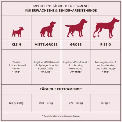 Dr John Silver – Trockenfutter mit Rind für Hunde, 15 kg