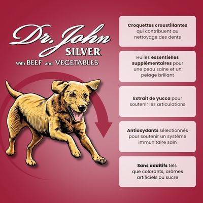 Croquettes chien adulte – Dr John Silver Bœuf