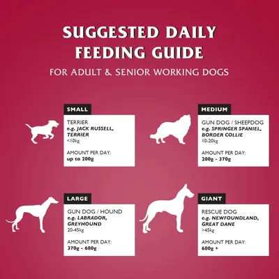 Dr John Silver Bœuf aux Légumes