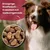 Dr John Silver – Trockenfutter mit Rind für Hunde, 15 kg