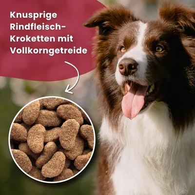 Dr John Silver – Trockenfutter mit Rind für Hunde, 15 kg