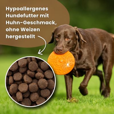 Dr John Hypoallergenic Activ Trockenfutter für aktive Hunde