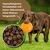 Dr John Hypoallergenic Activ Trockenfutter für aktive Hunde – 12,5 kg