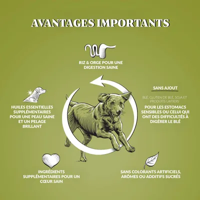 Dr John Agneau avec du Riz Hypoallergénique