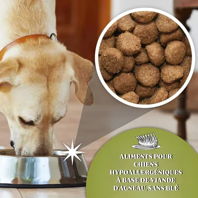 Dr John Agneau avec du Riz Hypoallergénique