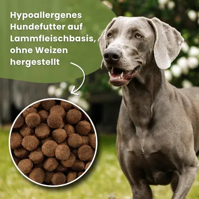 Dr John Lamm & Reis für ausgewachsene Hunde – 12,5 kg