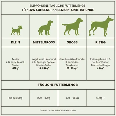 Dr John Lamm & Reis für ausgewachsene Hunde – 12,5 kg