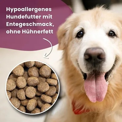 Dr John mit Ente & Lachs für ausgewachsene Hunde – 12.5 kg