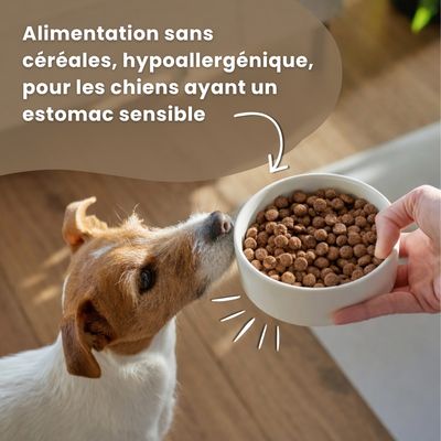 Croquettes chien adulte sans céréales – Dr John Poulet