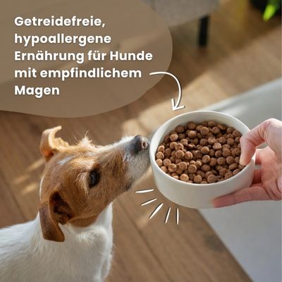 Dr John Getreidefrei mit Huhn für ausgewachsene Hunde
