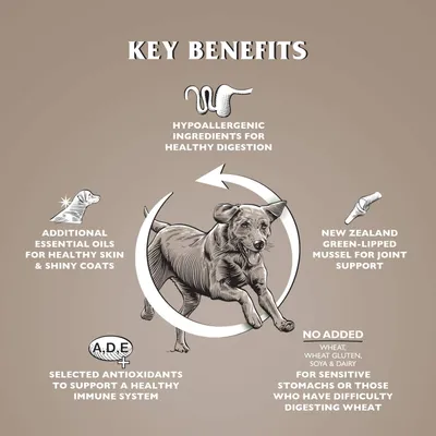 Dr John Poulet et Pommes de terre sans Céréales