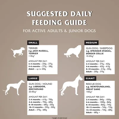 Dr John Poulet et Pommes de terre sans Céréales