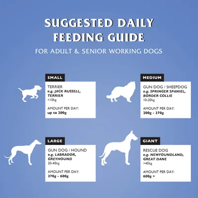 Dr John Silver Poulet aux Légumes