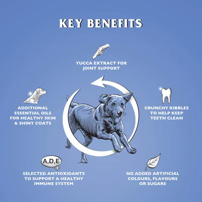 Dr John Silver Poulet aux Légumes