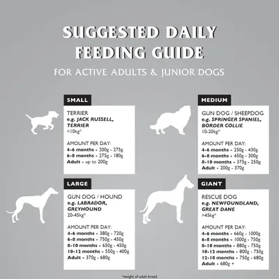 Dr John Titanium Poulet avec Légumes