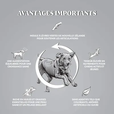 Dr John Titanium Poulet avec Légumes