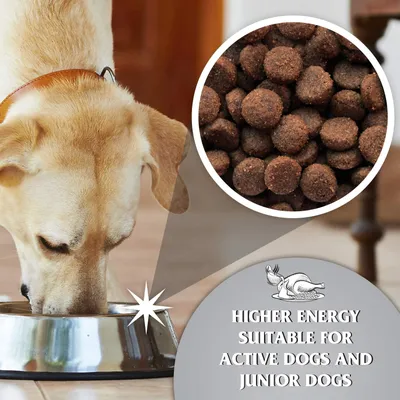 Dr John Titanium Poulet avec Légumes